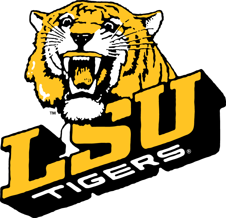 LSU Tigers 1980-1989 Alternate Logo diy DTF decal sticker